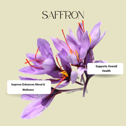 Struggling with your health and wellness?